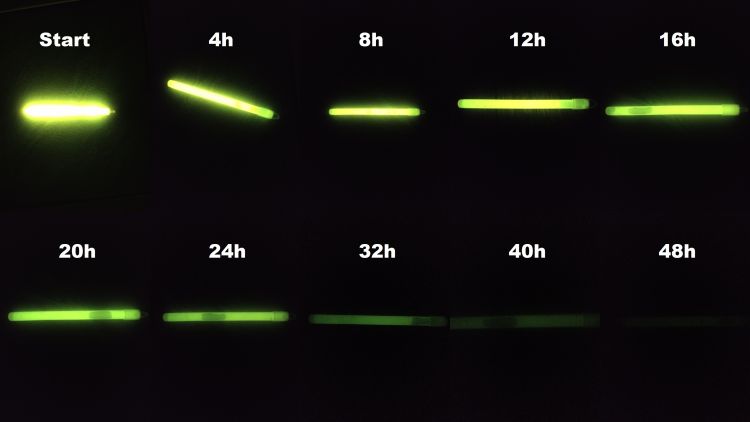 Łukasz, Żary Łukasz, Żary