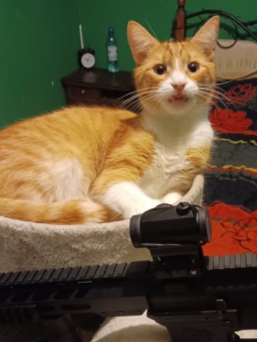 Bartosz, Bydgoszcz Bartosz, Bydgoszcz