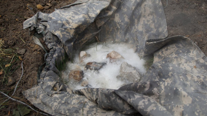 Herbata z igieł sosny