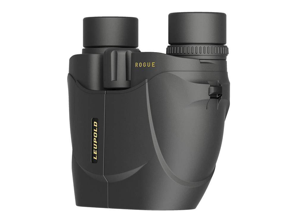 Leupold BX1 Rogue Binoculars 8x25 59220 best price check