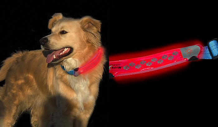 nite ize nite dawg led dog collar
