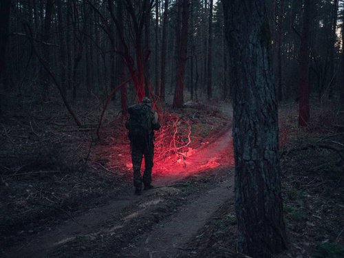 Armytek - Latarka akumulatorowa / czołówka Wizard C2 WR Magnet USB - 1020 lumenów - F06901PW