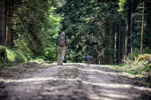 Helikon - Spodnie wojskowe SFU Next® - Shadow Grey - SP-SFN-PR-35