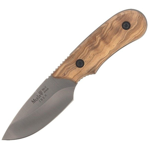 Muela - Nóż Skinner Olive Wood 75mm - IBEX-8.OL
