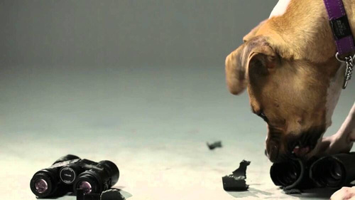 Vortex Optics - Lornetka myśliwska Diamondback HD 10x28 - DB-211