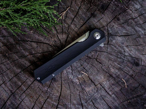 Ganzo - Nóż składany Firebird - Czarny - FH11-BK