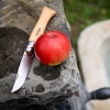 Opinel - Nóż N°9 VRI - Inox - 001083