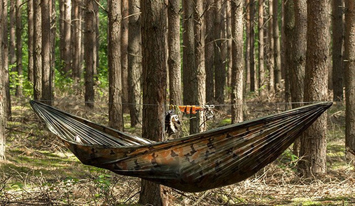 Lesovik - Cięciwa SMUK - Szara