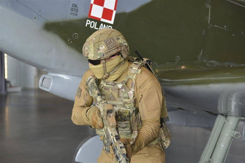 Direct Action - Kamizelka taktyczna Plate Carrier Spitfire® - Ranger Green - PC-SPTF-CD5-RGR