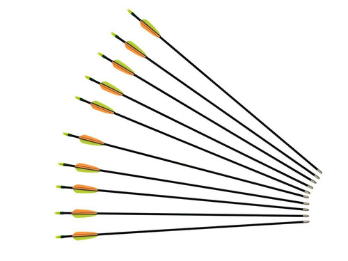 Poe Lang - Strzała z włókna szklanego - 30" - Grot tarczowy gładki - Czarna - D-065K/VD-065K