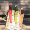 Morakniv - Nóż Companion - Sandvik 12C27 - Czerwony - 14071