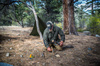 Helikon - Koszula bushcraftowa Woodsman - DuraCanvas - Czarny/Taiga Green - KO-WDN-DC-1109A