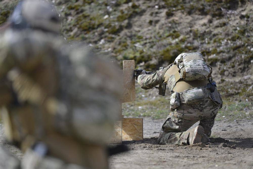 Direct Action - Plecak Spitfire Mk II Backpack Panel - 12 l - Coyote Brown - PL-SPBK-CD5-CBR