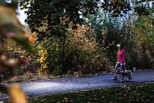 Ledlenser - Latarka czołowa HF4R Core - 500 lm - 1000 mAh - Czarny - 502790