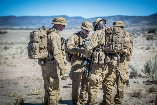 Helikon - Plecak taktyczny Raccoon Mk2 - MOLLE/PALS - Cordura - Shadow Grey - PL-RC2-CD-35