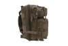 GFC Tactical - Plecak Assault Pack - Oliwkowy - GFT-20-001269