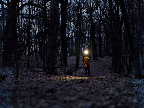 Fenix - Latarka czołowa LED - 240 lumenów - AA - Czarna - HM23