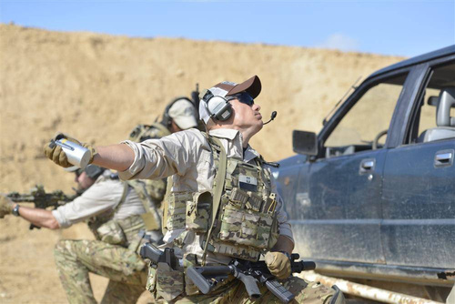 Direct Action - Ładownica na granat dymny - Adaptive Green - PO-SMKE-CD5-AGR