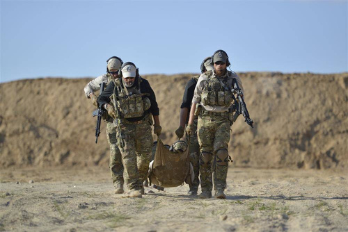 Direct Action - Nosze Taktyczne Combat Stretcher - Czarny - PO-CSTR-NLN-BLK