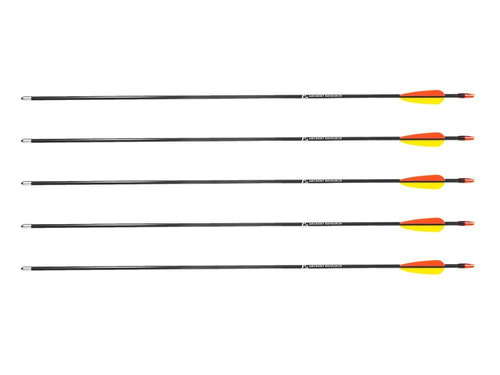 Poe Lang - Strzała z włókna szklanego - 30" - Grot tarczowy gładki - 5 szt. - D-055-B3