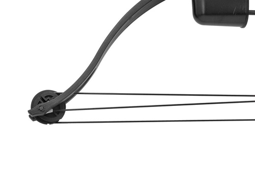 Poe Lang - Łuk bloczkowy Druid - 20 lb - 33" - Czarny - CO-009