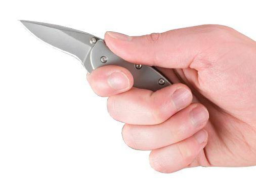 Kershaw - Nóż taktyczny Chive 1600 - 420HC - Srebrny - 1600