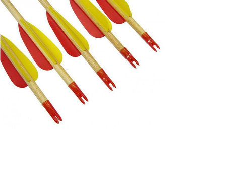 Poe Lang - Strzała drewniana - 29" - Grot tarczowy ostry - D-002AK/VD-002AK