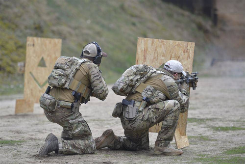 Direct Action - Plecak Spitfire Mk II Backpack Panel - 12 l - Coyote Brown - PL-SPBK-CD5-CBR