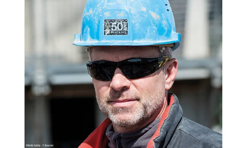 Bolle Safety - Okulary ochronne - RUSH+ - Przyciemniany - RUSHPPSF