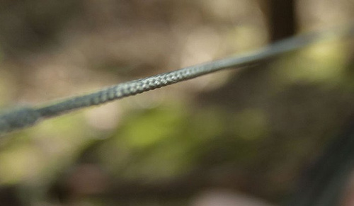 Lesovik - Cięciwa SMUK - Szara