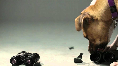 Vortex Optics - Zakrywka obiektywu Defender 56 - 62-66 mm - Czarna - O-56